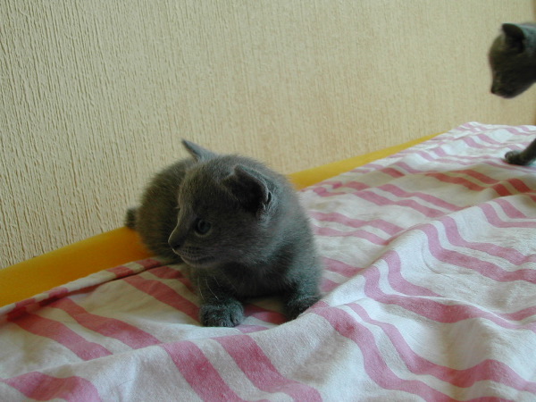 DSCN3271.JPG