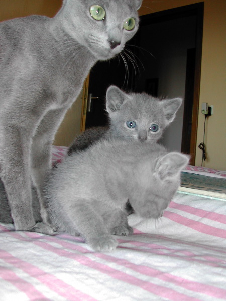 DSCN3252.JPG