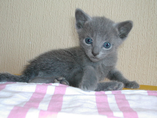 DSCN3269.JPG