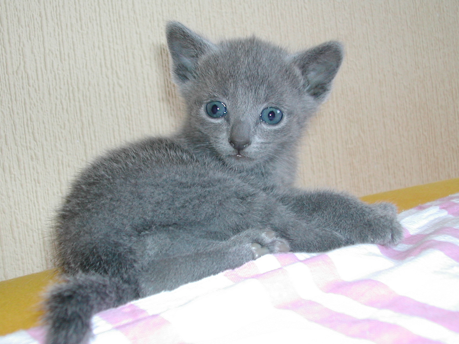 DSCN3268.JPG