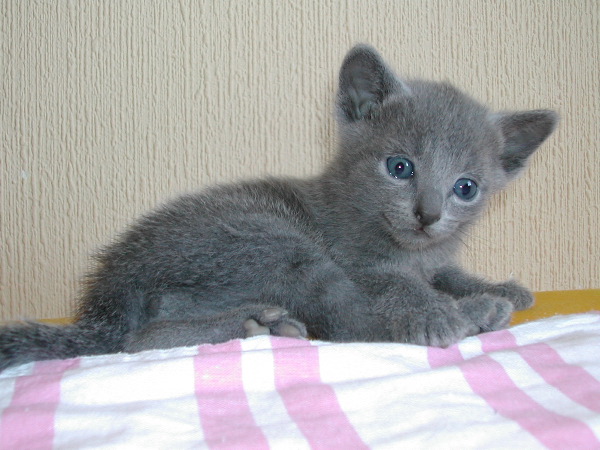 DSCN3267.JPG