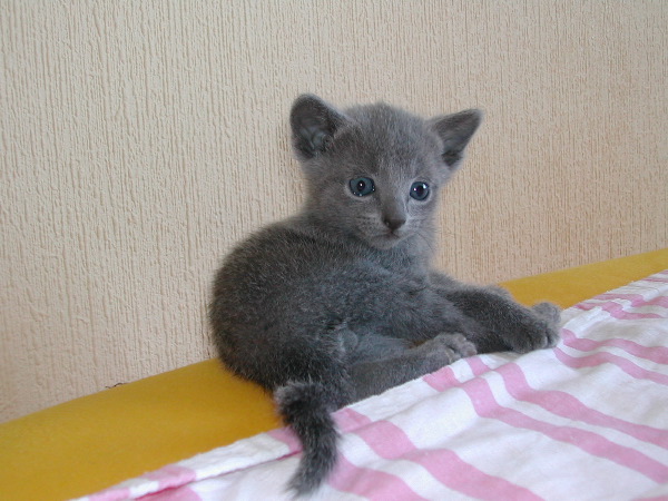 DSCN3264.JPG