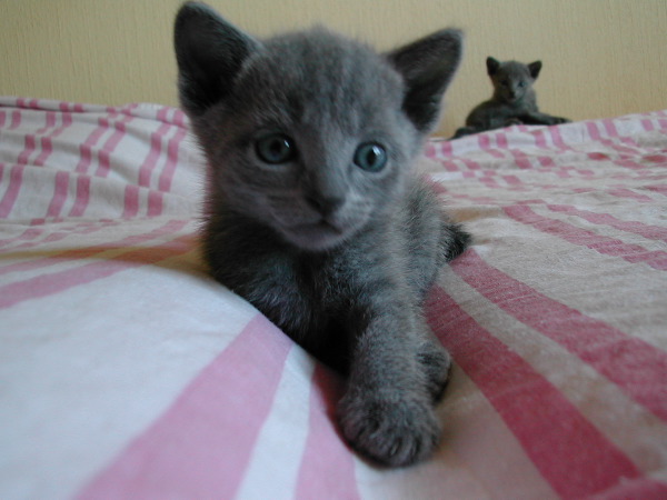 DSCN3260.JPG