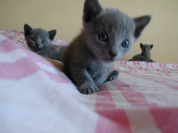 DSCN3258.JPG