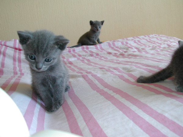 DSCN3257.JPG