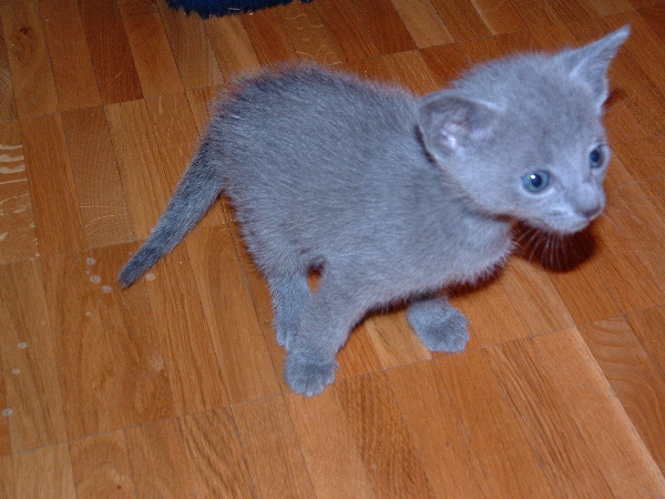 DSCF0018.JPG