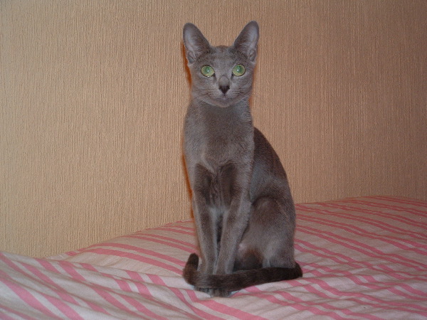 DSCF0013.JPG