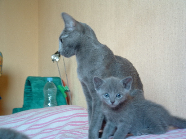 DSCF0016.JPG
