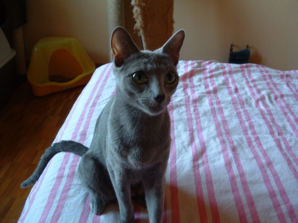DSCF0008.JPG