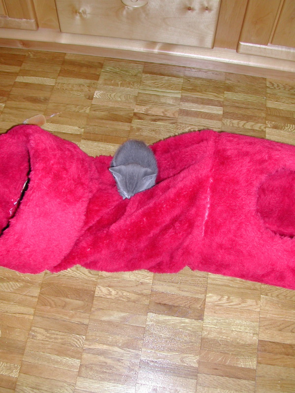 DSCN3313.JPG