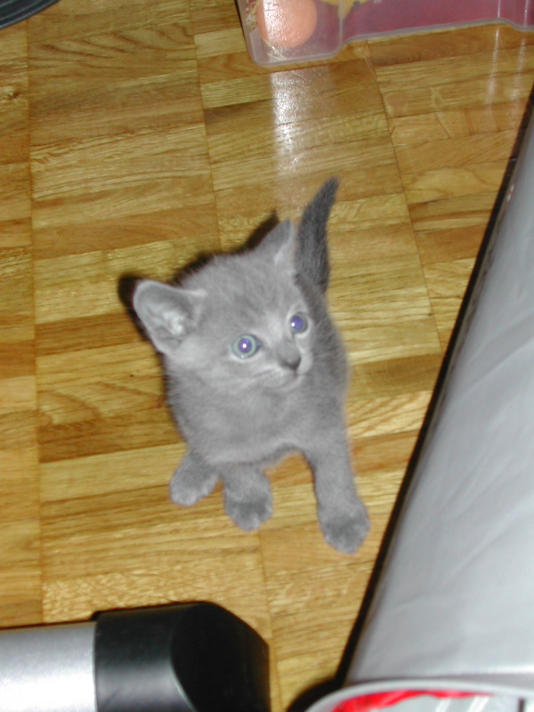 DSCN3309.JPG