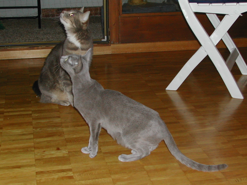 DSCN3302.JPG