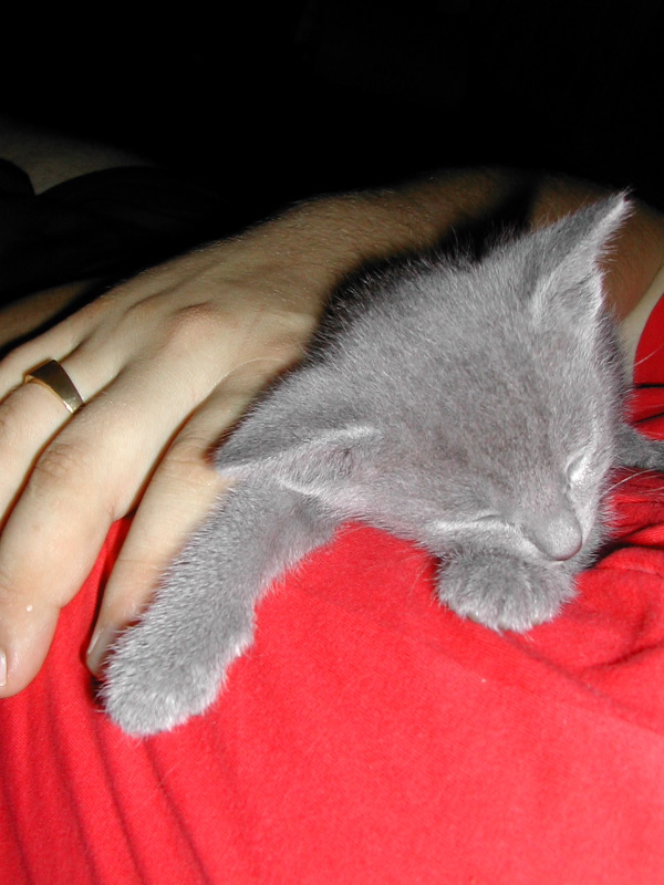 DSCN3299.JPG