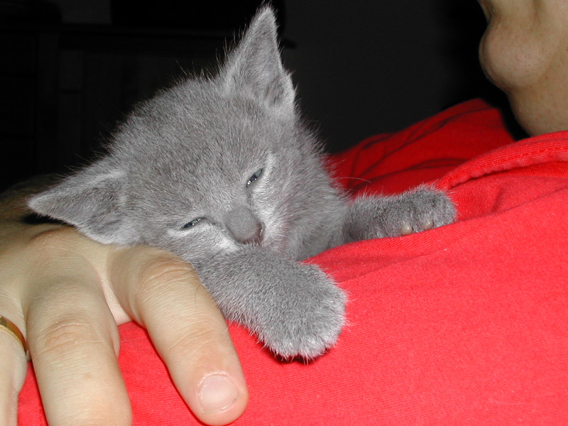 DSCN3292.JPG