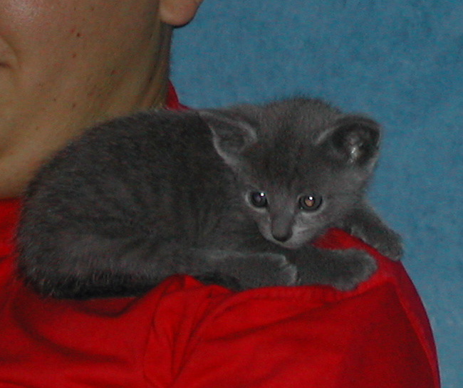 DSCN3280.JPG