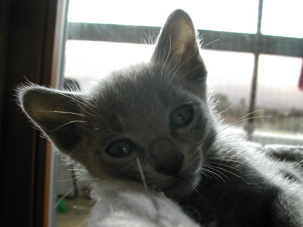 DSCN3363.JPG