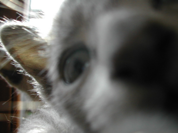DSCN3362.JPG