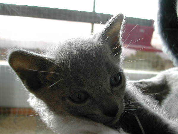 DSCN3361.JPG