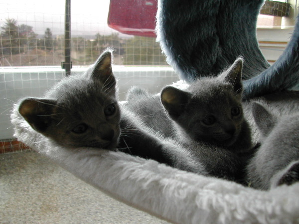 DSCN3357.JPG