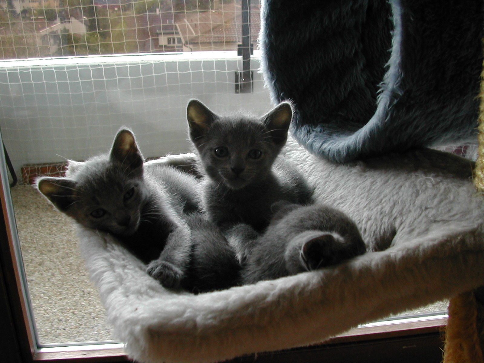 DSCN3352.JPG