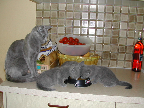DSCN3350.JPG
