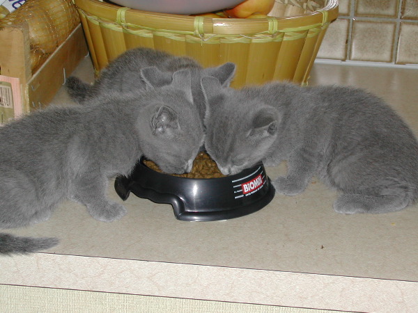 DSCN3348.JPG