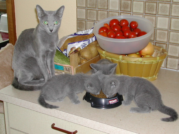DSCN3347.JPG