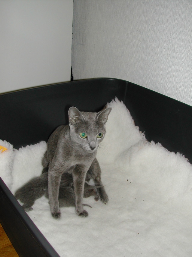 DSCN3026.JPG