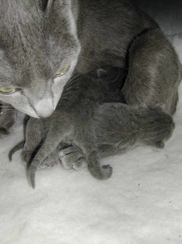 DSCN3022.JPG