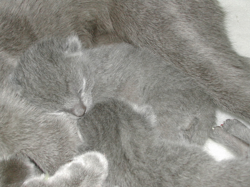 DSCN3017.JPG