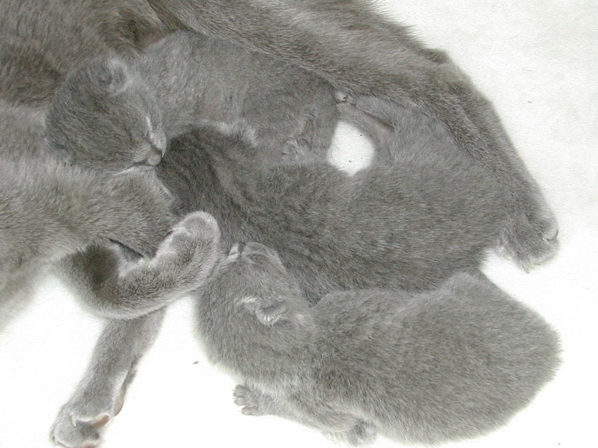DSCN3016.JPG