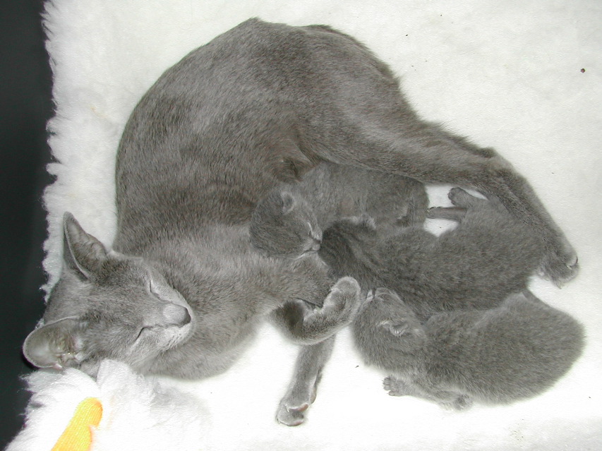 DSCN3014.JPG