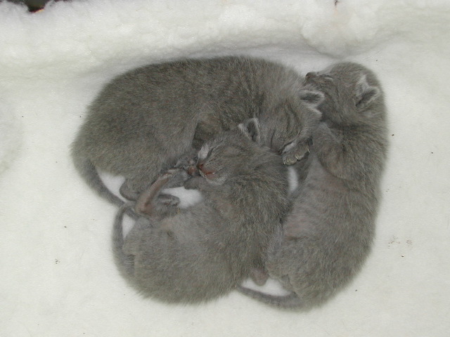 DSCN3042.JPG
