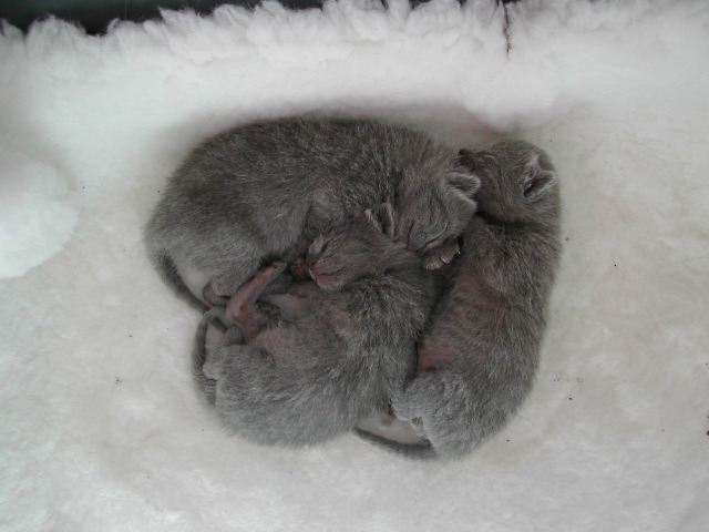 DSCN3041.JPG
