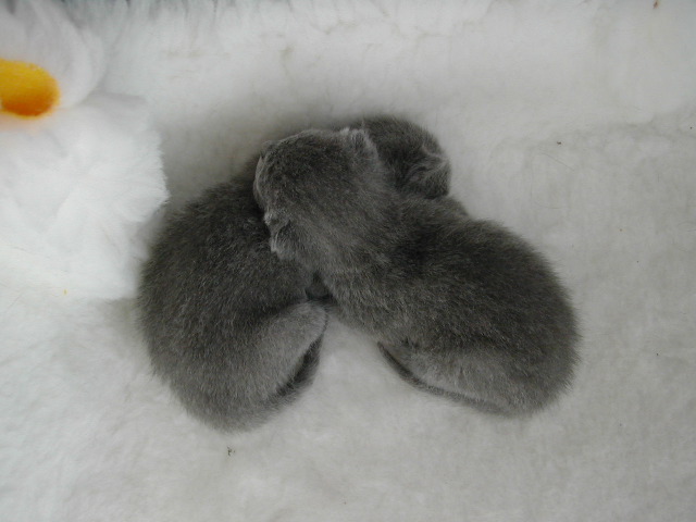 DSCN3039.JPG