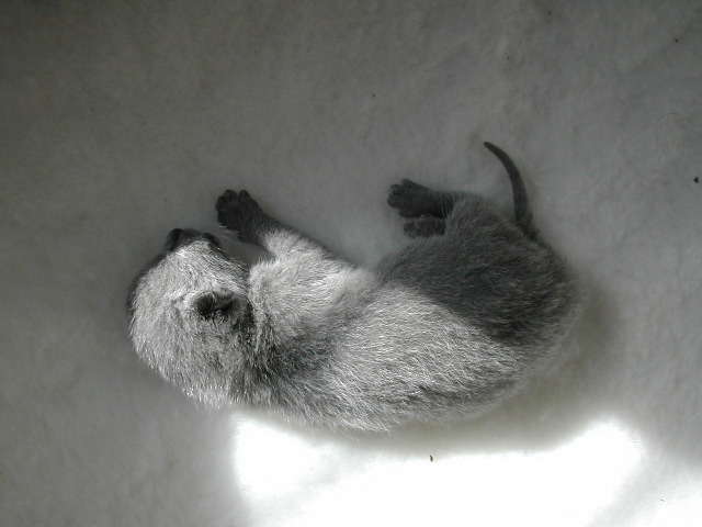 DSCN3038.JPG