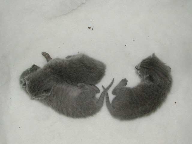 DSCN3036.JPG