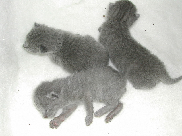 DSCN3032.JPG