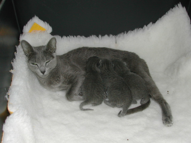 DSCN3028.JPG