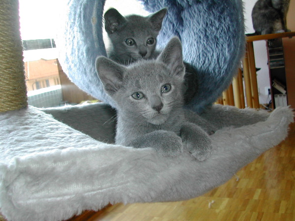 DSCN3411.JPG
