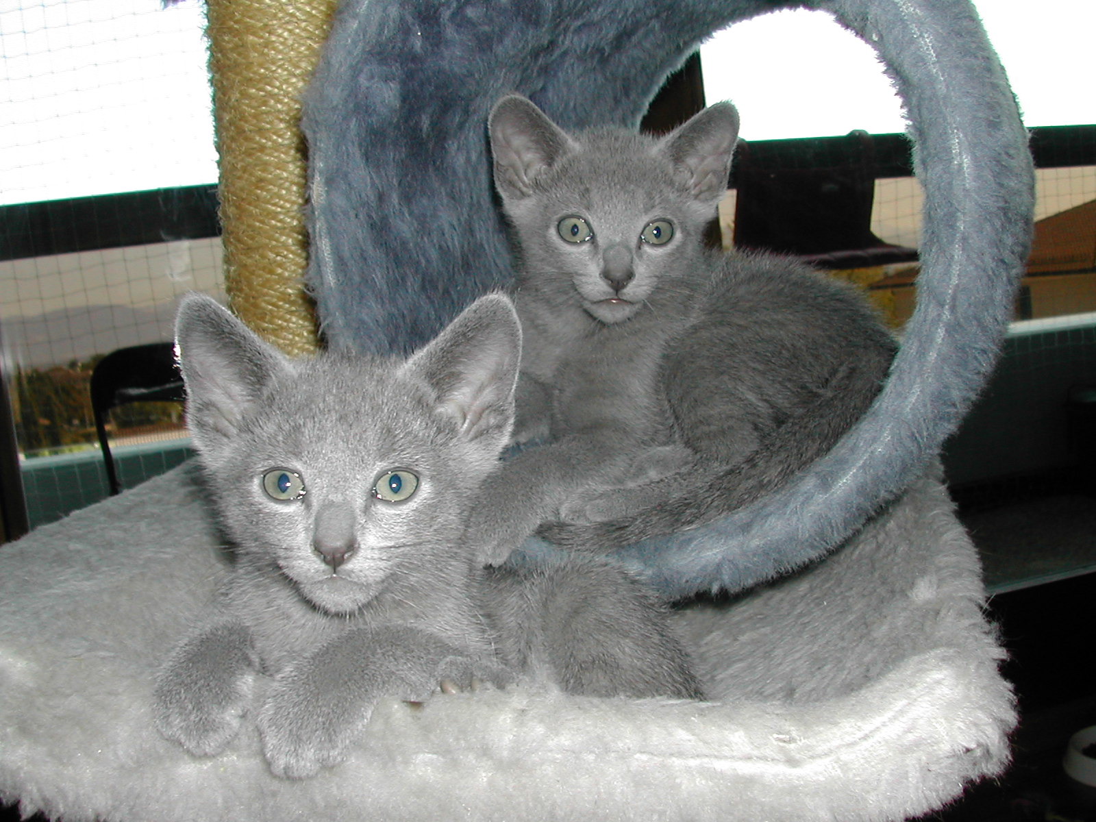 DSCN3410.JPG
