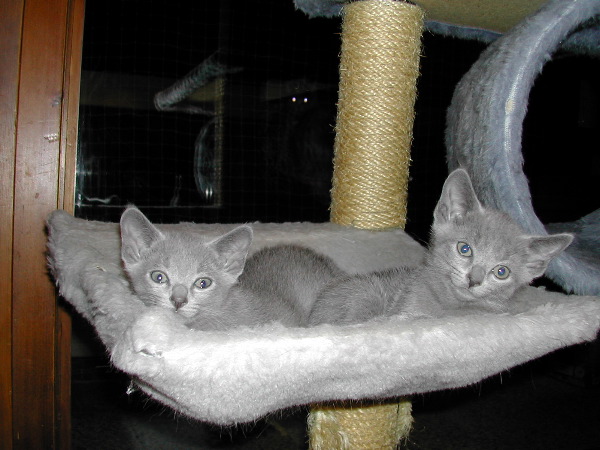 DSCN3397.JPG