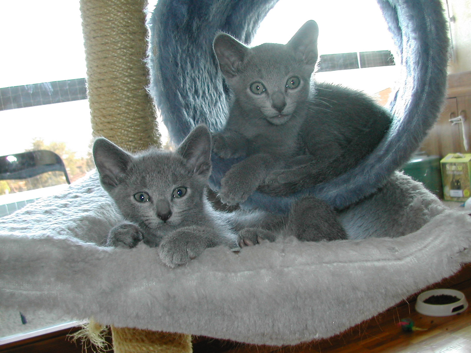 DSCN3409.JPG