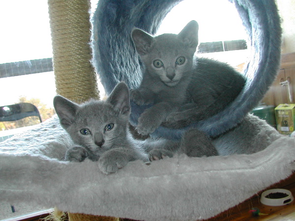 DSCN3408.JPG