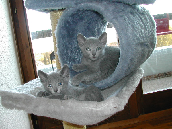 DSCN3407.JPG