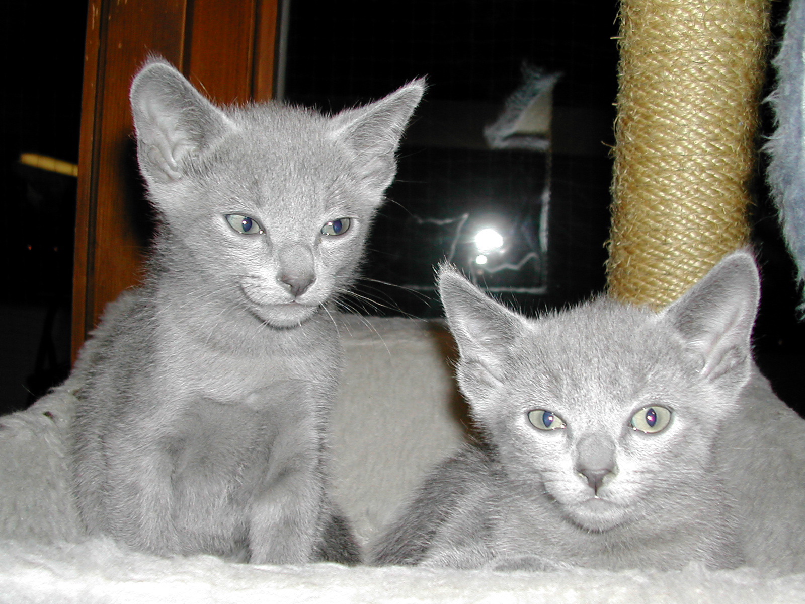 DSCN3402.JPG