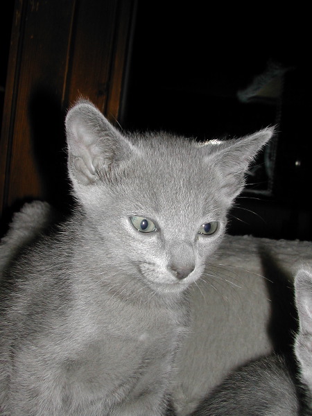 DSCN3401.JPG