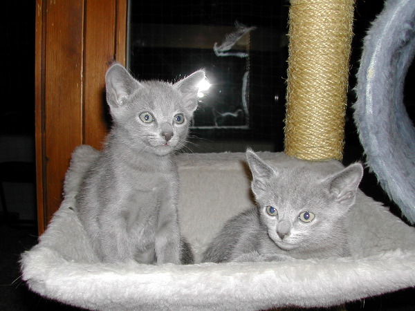 DSCN3399.JPG