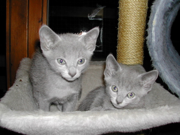 DSCN3398.JPG