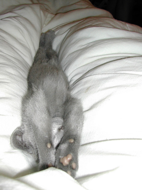 DSCN3422.JPG